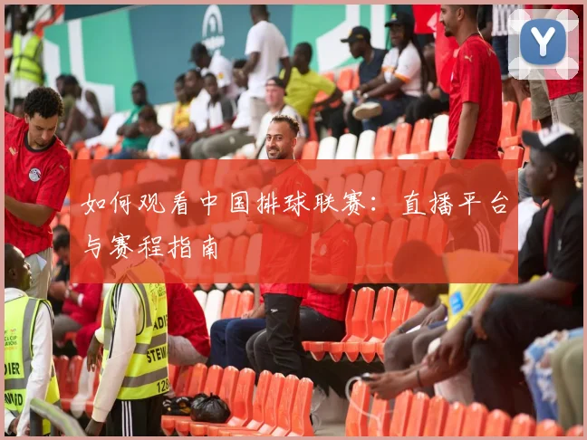 如何观看中国排球联赛：直播平台与赛程指南